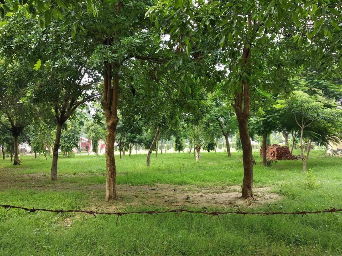 The Radiance Suites And Apartment New Delhi Bagian luar foto